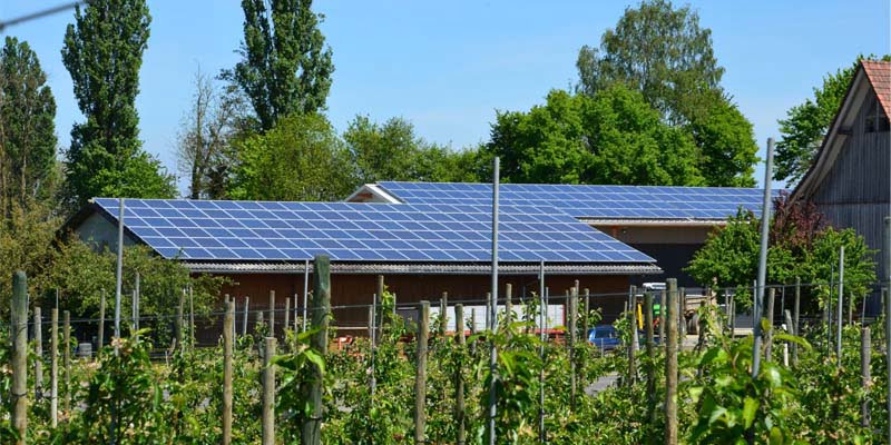 Agricultural Solar Solutions in Pakistan