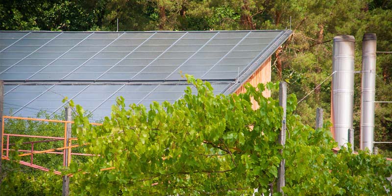 Agricultural Solar Solutions in Pakistan