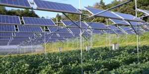 25HP Solar Tubewell Price In Pakistan 3 Agricultural Solar Solutions in Pakistan