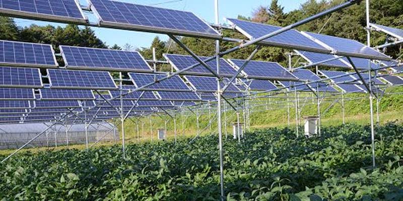 Agricultural Solar Solutions in Pakistan
