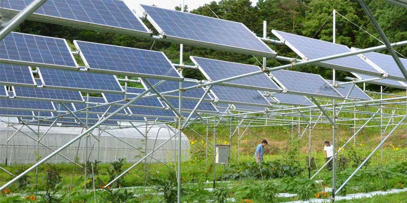 agriculture-solar-solution-in-pakistan